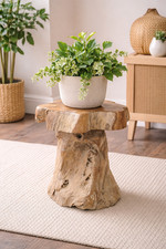 Solid Wood Tree Root Plant