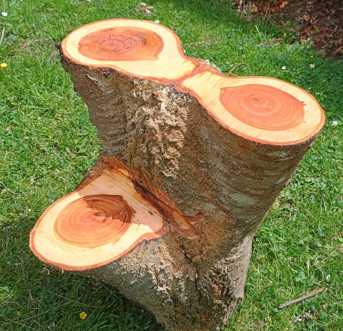 Handmade cherry tree wood log